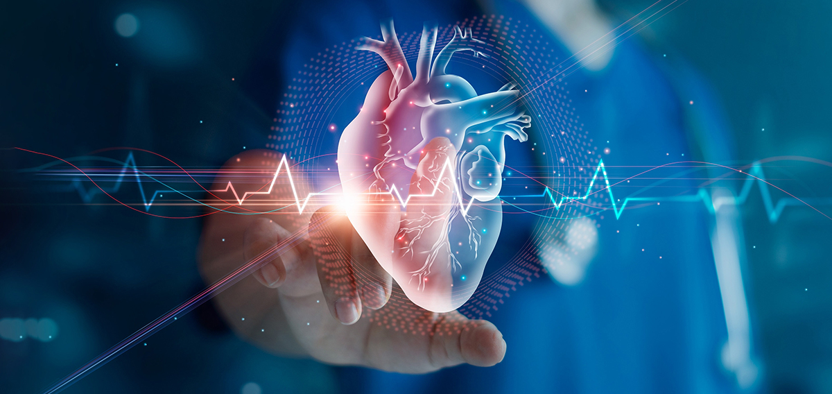 Cardiac Blood Test UAE Feelvaleo